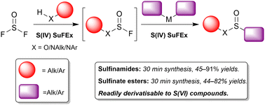 Graphical abstract: Thionyl fluoride as a sulfur(iv) SuFEx hub for the efficient syntheses of sulfinamides and sulfinate esters