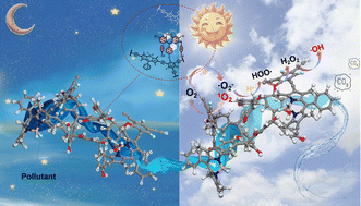 Graphical abstract: A near-infrared-II light-response BODIPY-based conjugated microporous polymer for enhanced photocatalytic degradation of cationic dyes and H2O2 production