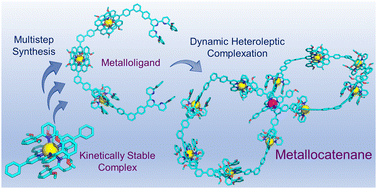 Graphical abstract: Stepwise construction of a metallocatenane based on non-labile bis(terpyridine)-CdII complexes
