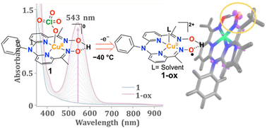 Graphical abstract: Spectroscopic characterization and reactivity studies of a copper(ii) iminoxyl radical complex