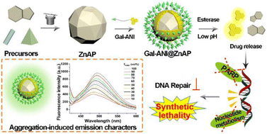 Graphical abstract: A nanoplatform based on allylthiopurine bio-MOF and glycosylated AIE PARP inhibitor for cancer synthetic lethal therapy