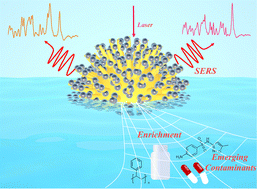 Graphical abstract: Urchin-like covalent organic frameworks templated Au@Ag composites for SERS detection of emerging contaminants