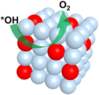 Graphical abstract: Robust bifunctionality in an oxygen electrode via core–shell heterostructure construction