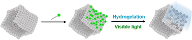 Graphical abstract: Biocompatible hydrogel coating on single living cells through visible light-induced polymerization