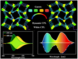 Graphical abstract: Color-tunable and white circularly polarized luminescence through confining guests into chiral MOFs