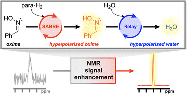 Graphical abstract: Aldoximes enable proton-relayed NMR hyperpolarisation