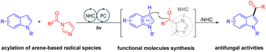 Graphical abstract: Carbene and photocatalyst-catalyzed 3-acylation of indoles for facile access to indole-3-yl aryl ketones