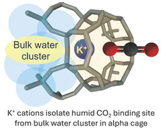 Graphical abstract: Privileged zeolitic sites for humid CO2 adsorption: K+ in double eight-membered rings