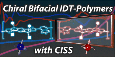 Graphical abstract: Chiral bifacial indacenodithiophene-based π-conjugated polymers with chirality-induced spin selectivity