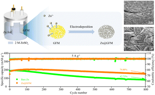 Graphical abstract: Achieving dendrite-free growth of Zn anode by electrodepositing on zincophilic gold-furnished mesh for aqueous zinc-ion batteries