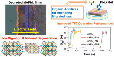 Graphical abstract: Ion migration in p-type perovskite MAPbI3 films under an electric field and thin-film transistor device failure