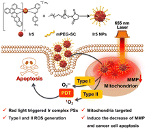 Graphical abstract: Long-wavelength triggered iridium(iii) complex nanoparticles for photodynamic therapy against hypoxic cancer