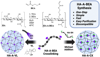 Graphical abstract: Fast one-step acrylate functionalization of hyaluronic acid via Williamson ether synthesis