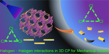 Graphical abstract: Impact of halogen⋯halogen interaction on the mechanical motion of a 3D Pb(ii) coordination polymer of elusive topology