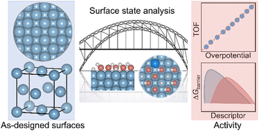 Graphical abstract: Surface coverage and reconstruction analyses bridge the correlation between structure and activity for electrocatalysis