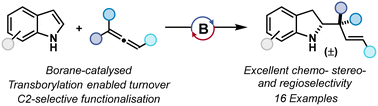 Graphical abstract: Borane-catalysed C2-selective indole reductive functionalisation