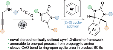 Graphical abstract: syn-1,2-Diaminobenzocyclobutenes from [2+2] cycloaddition of 2-imidazolones with arynes