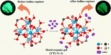 Graphical abstract: AIEgen-functionalized metal–organic gel as a bifunctional platform for efficient adsorption and portable sensing of gaseous iodine