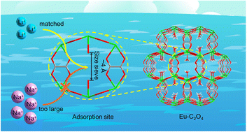 Graphical abstract: Strong size sieving effect in a rigid oxalate-based metal–organic framework for selective lithium extraction