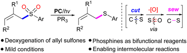 Graphical abstract: Deoxygenation of allyl arylsulfones to allyl arylthioethers via a “cut-sew” strategy: phosphines as bifunctional reagents