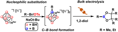 Graphical abstract: Electrochemical deconstruction of alkyl substituted boron clusters to produce alkyl boronate esters