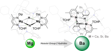 Graphical abstract: A series of neutral alkaline earth metal hydride complexes supported by a bulky, unsymmetrical β-diketiminate ligand, [{(Dip/TCHPNacnac)M(μ-H)}2] (M = Mg, Ca, Sr or Ba)
