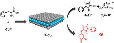 Graphical abstract: A two-dimensional coordination polymer with high laccase-like activity for sensitive colorimetric detection of thiram