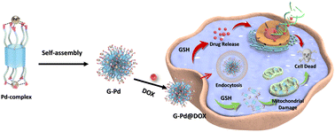 Graphical abstract: Supramolecular palladium complexes based on guanidinium pillar[5]arene for cancer therapy