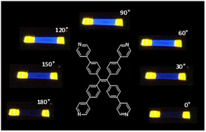 Graphical abstract: An organic polarized photonic heterostructure based on tetra(4-pyridylphenyl)ethylene