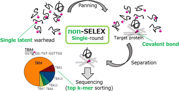 Graphical abstract: ARCaDia: single-round screening of a DNA-type targeted covalent binder possessing a latent warhead