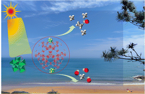 Graphical abstract: Cr-MOF composited with facet-engineered bimetallic alloys for inducing photocatalytic conversion of CO2 to C2H4