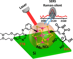 Graphical abstract: Facile in situ synthesis of silver nanoclusters for promoting highly sensitive surface-enhanced Raman scattering detection of alkyne-tagged biomolecules