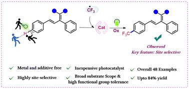Graphical abstract: A radical approach towards polarity-reversed para-substitution of electron-deficient arenes