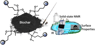 Graphical abstract: Biochar boost: revolutionizing functionalization of a difficult material