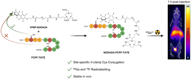 Graphical abstract: Site-specific π-clamp-mediated radiosynthesis of 68Ga and 18F PET radiopharmaceuticals