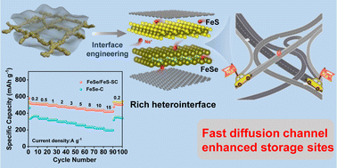 Graphical abstract: Electrochemically self-driven integration of FeSe/FeS heterostructures for enhanced sodium storage and rapid kinetics