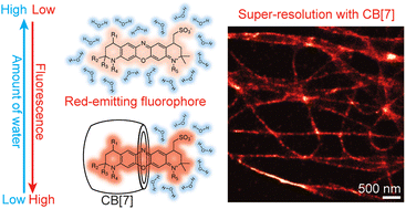 Graphical abstract: Super-resolution imaging with a cucurbituril-encapsulated fluorophore