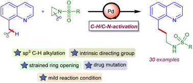Graphical abstract: Palladium catalyzed C(sp3)–H alkylation of 8-methylquinolines with aziridines: access to functionalized γ-quinolinylpropylamines