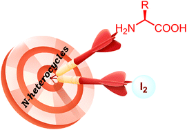 Graphical abstract: Recent advances in the synthesis of N-heterocycles from α-amino acids mediated by iodine