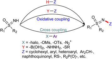 Graphical abstract: Advances in cross-coupling and oxidative coupling reactions of NH-sulfoximines – a review