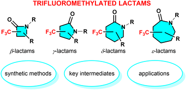 Graphical abstract: Trifluoromethylated lactams: promising small molecules in the search for effective drugs