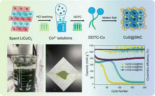 Graphical abstract: Upcycling of spent LiCoO2: engineering the coordination-trapping behavior towards conversion-type anodes for advanced Li-storage