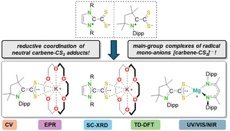 Graphical abstract: Radical anions of 1,1-azoliumdithiocarboxylates