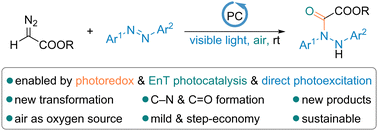 Graphical abstract: Synergistic photocatalysis enables aerobic oxo-hydrazination of α-diazoacetates with azobenzenes