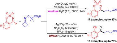 Graphical abstract: Solvent-controlled silver catalyzed radical transformation of α-imino-oxy acids with cyclic aldimines