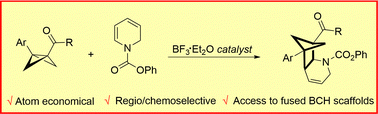 Graphical abstract: Lewis acid-catalyzed [2π+2σ] cycloaddition of dihydropyridines with bicyclobutanes