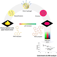 Graphical abstract: A rapid colorimetric paper-based sensor strip for point-of-care monitoring of the blood plasma coagulation