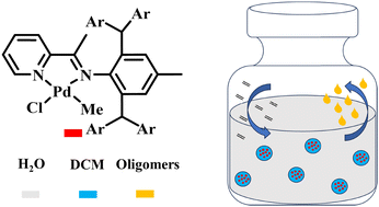 Graphical abstract: Controlled oligomerization in water to hyperbranched ethylene oligomers