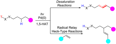 Graphical abstract: Recent advances in photoinitiated Pd-catalyzed desaturation and Heck-type reactions via 1,5-hydrogen atom transfer