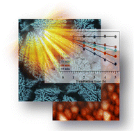 Graphical abstract: Controllable properties of NiO nanostructures fabricated by plasma assisted-chemical vapor deposition